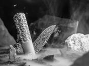 110673DAM - Couteau BOKER SOLINGEN BRLW Meteorite Damast