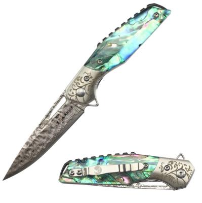 ER2010DM - Couteau de Poche ELK RIDGE Abalone Damas