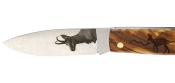 AP78CHA - Couteau de Poche Bois d'Olivier Personnalisation Chamois
