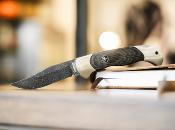 112124DAM - Couteau BOKER SOLINGEN Scout Bog Oak Damask Ed. Limitée