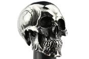 OH2145 - Canne PAUL CHEN Hanwei Skull